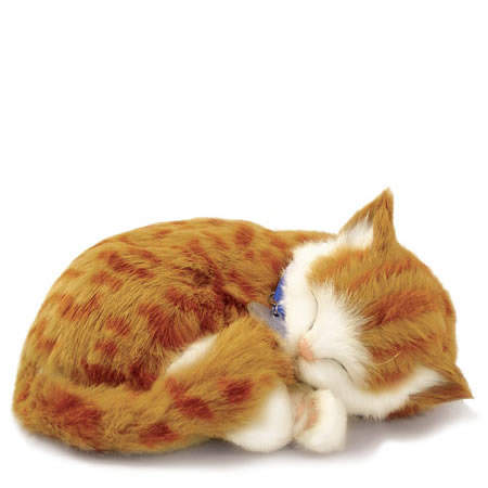 Perfect Petzzz Plüschtier Katze Tabby orange 